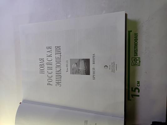 Новая Российская Энциклопедия. Том III (2). Бруней – Винча