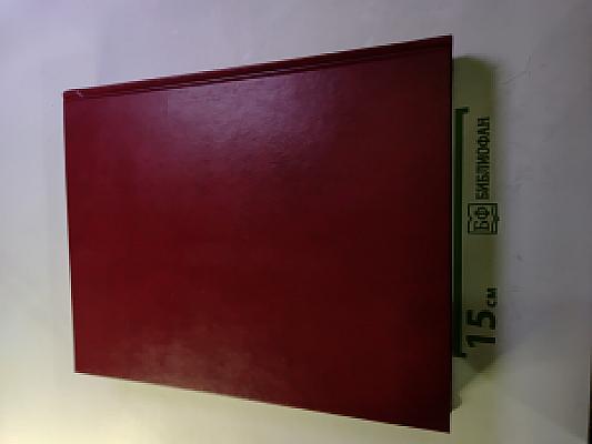 Новая Российская Энциклопедия. Том III (2). Бруней – Винча