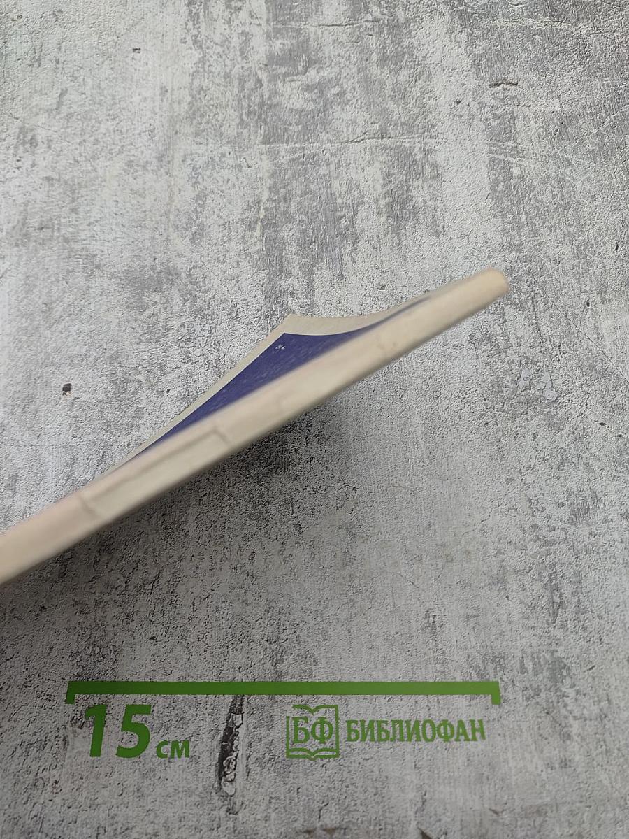 Генрих Гейне. Биография писателя. Книга для учащихся