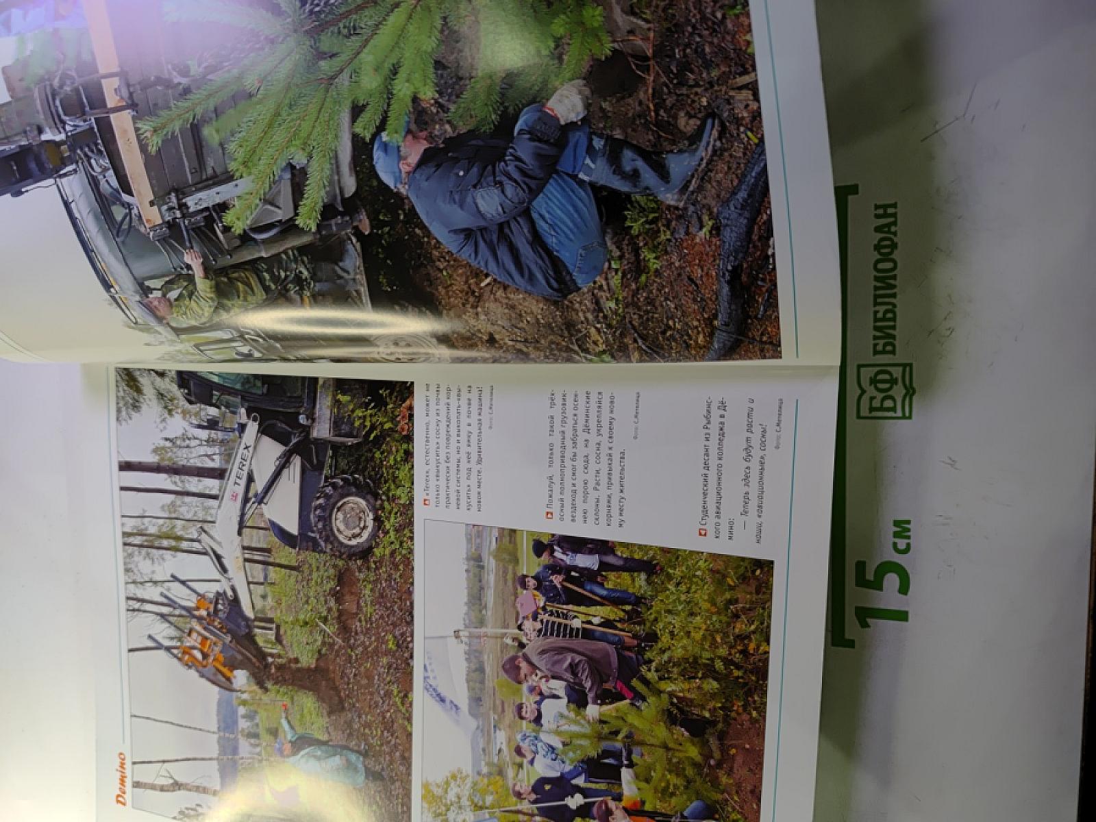 Рыбинск Domino