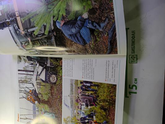 Рыбинск Domino