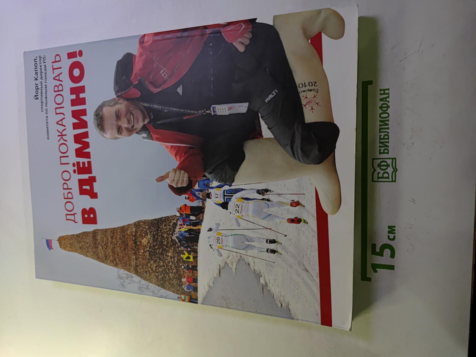 Рыбинск Domino