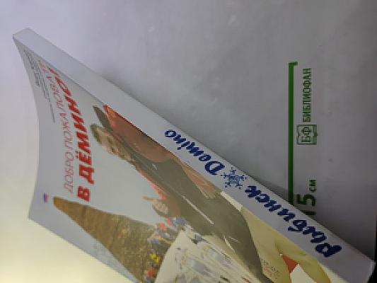 Рыбинск Domino