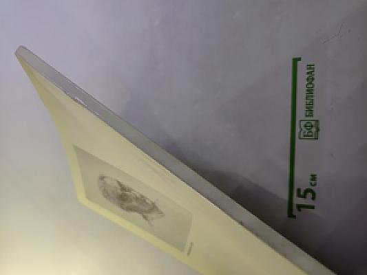 Fritz cremer neue arbeiten