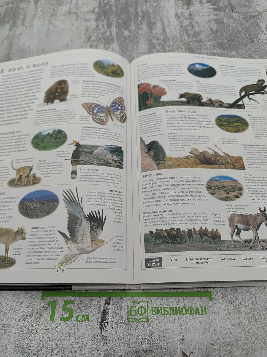 Иллюстрированная семейная энциклопедия. Том 1: Аборигены Австралии - Атомы и молекулы