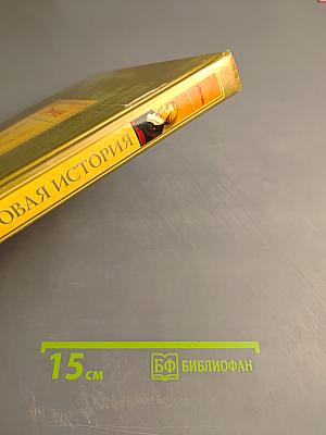 Мировая история. Новое время. XIX век