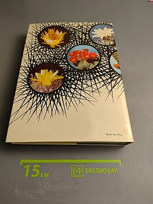 Колючее чудо: книга о кактусах