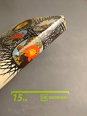 Колючее чудо: книга о кактусах