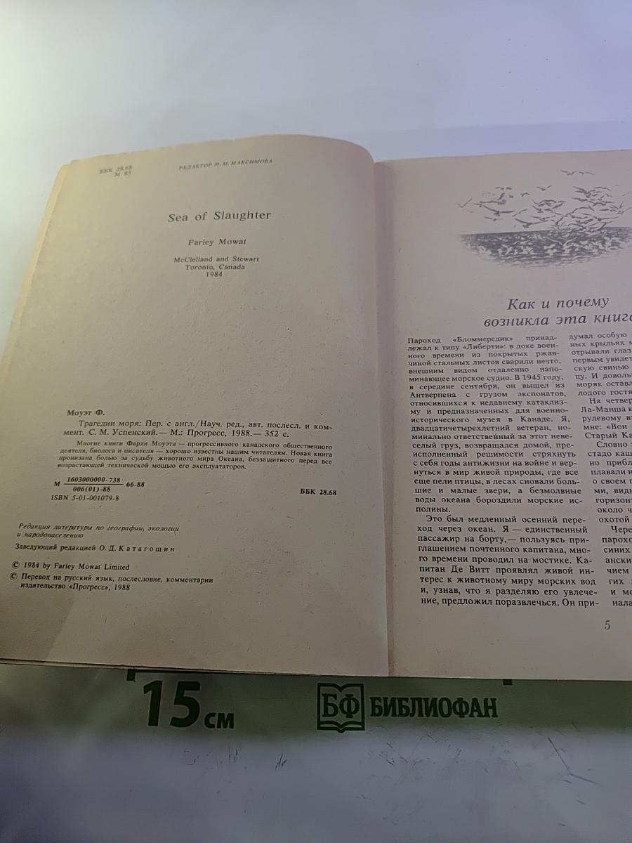 Трагедии моря