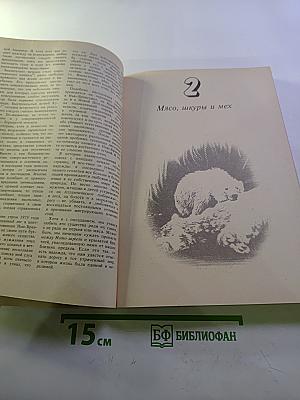 Трагедии моря