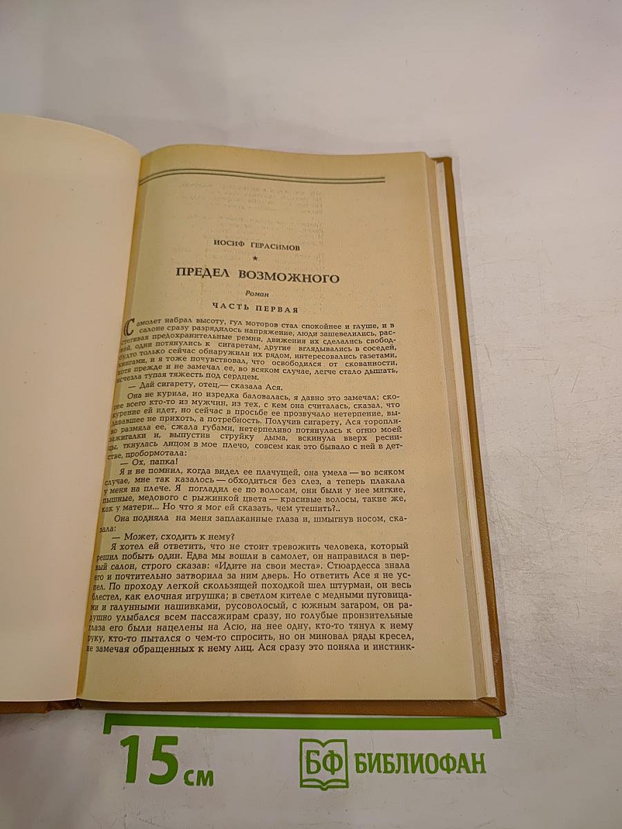 Предел возможного