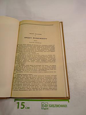 Предел возможного