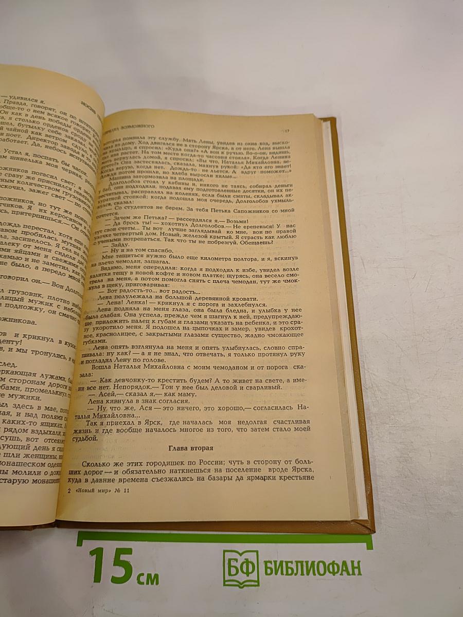 Предел возможного