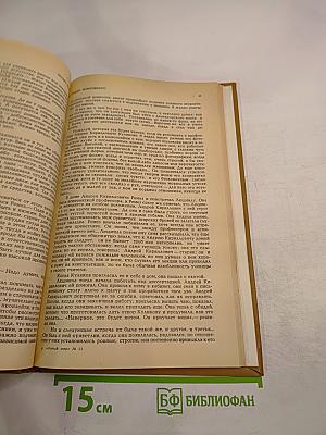 Предел возможного