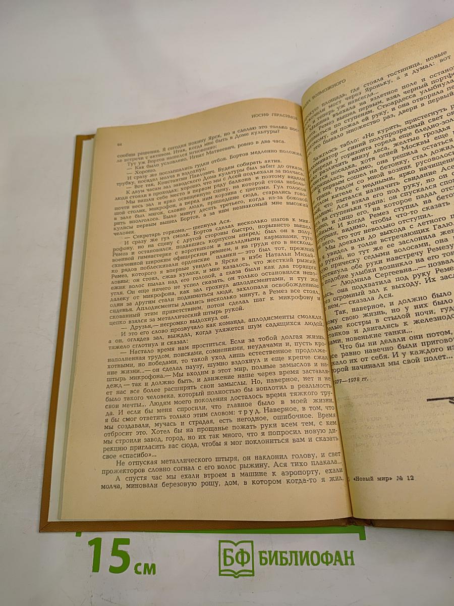 Предел возможного