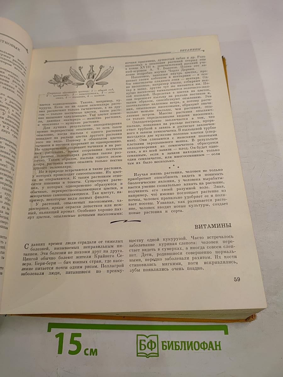 Детская энциклопедия. Том 4: Растения и животные