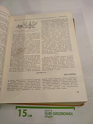 Детская энциклопедия. Том 4: Растения и животные