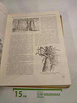 Детская энциклопедия. Том 4: Растения и животные