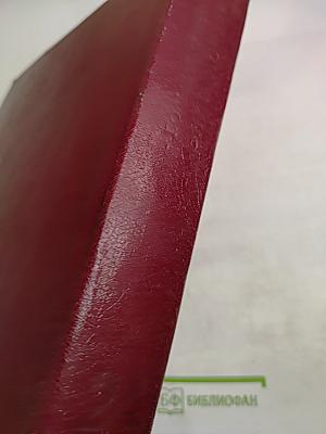 Большая Советская Энциклопедия. Том 24: Союз Советских Социалистических Республик. Третье издание