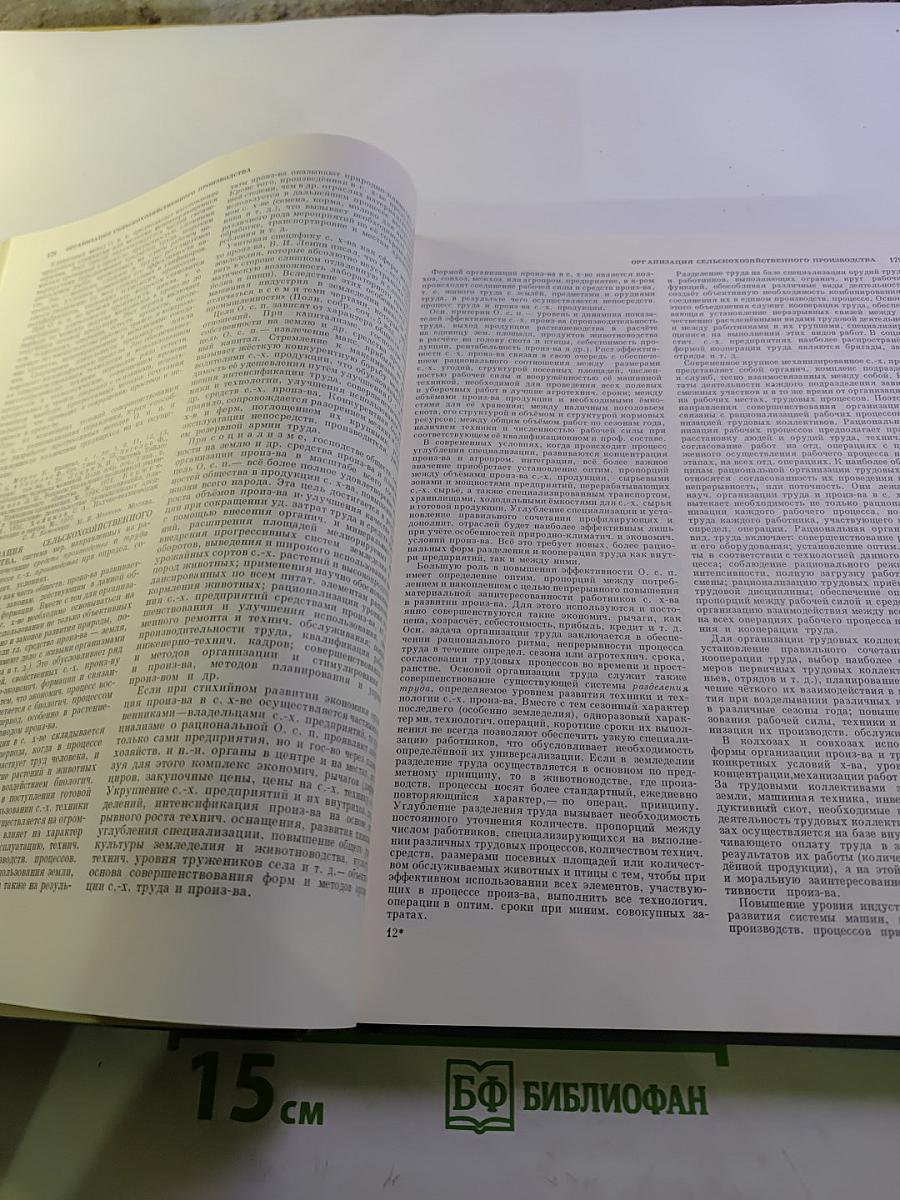 Политическая Экономия