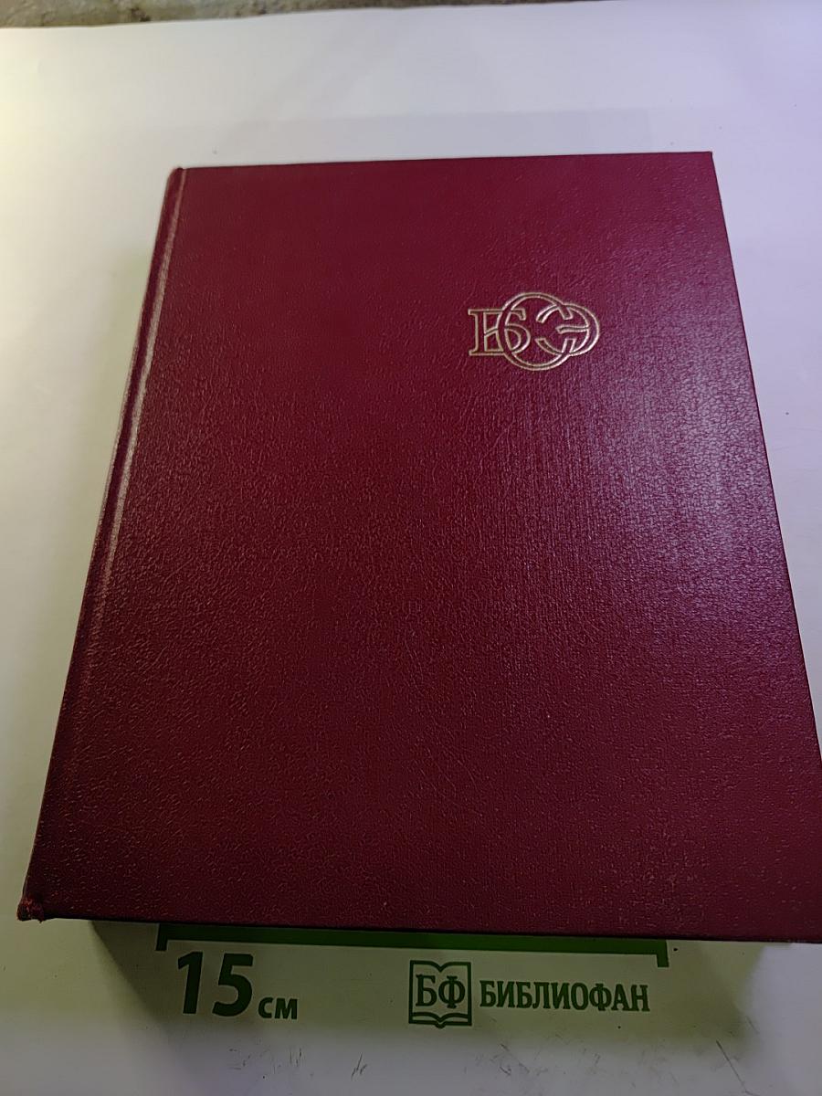 Большая Советская Энциклопедия. Том 10: Ива - Италики