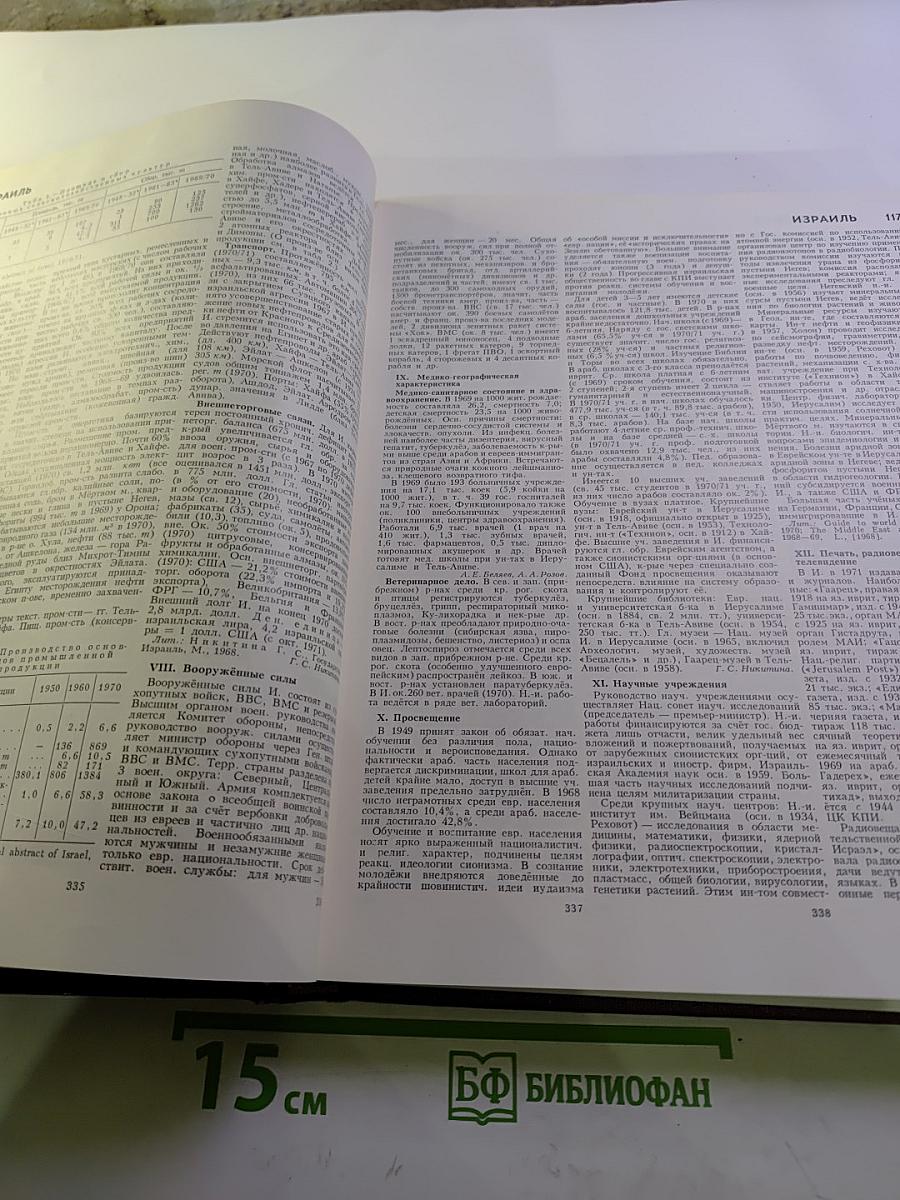 Большая Советская Энциклопедия. Том 10: Ива - Италики