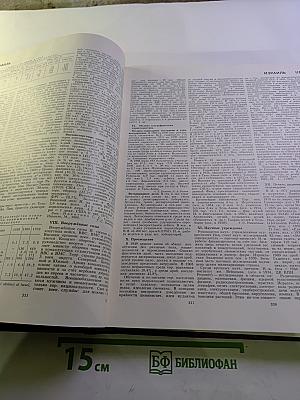 Большая Советская Энциклопедия. Том 10: Ива - Италики