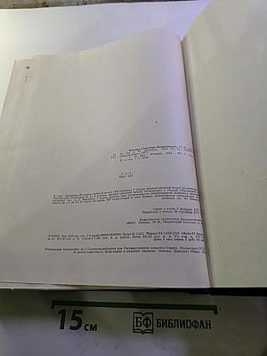 Большая Советская Энциклопедия. Том 10: Ива - Италики