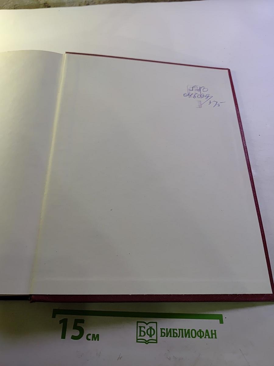 Большая Советская Энциклопедия. Том 10: Ива - Италики