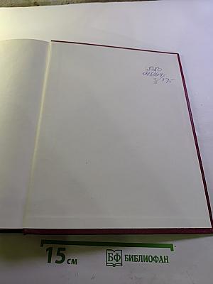 Большая Советская Энциклопедия. Том 10: Ива - Италики