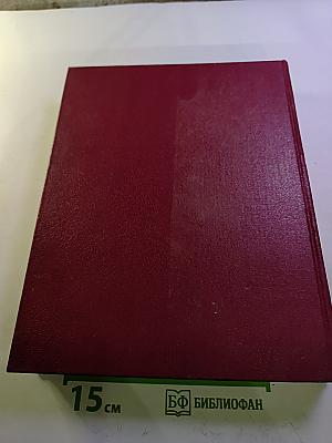 Большая Советская Энциклопедия. Том 10: Ива - Италики