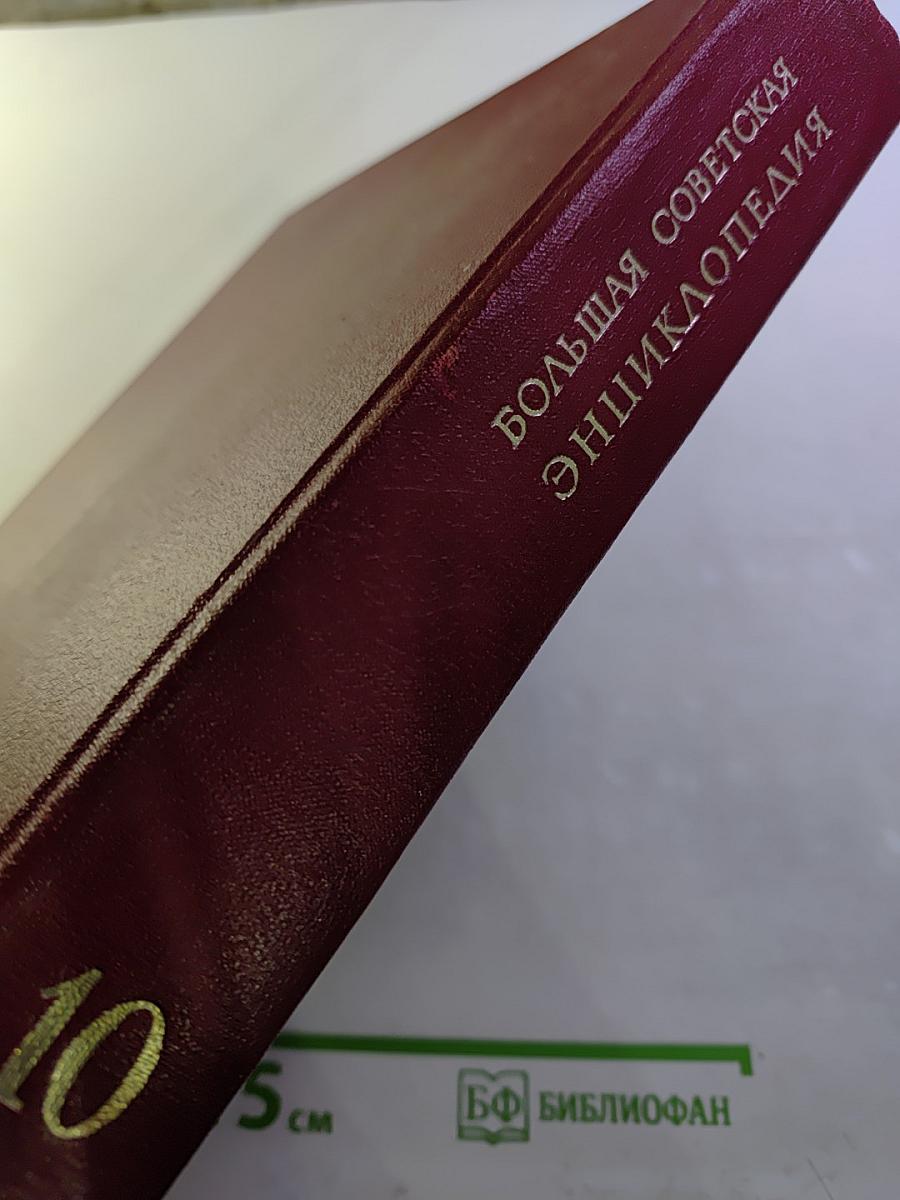 Большая Советская Энциклопедия. Том 10: Ива - Италики