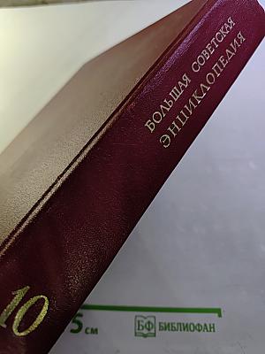 Большая Советская Энциклопедия. Том 10: Ива - Италики