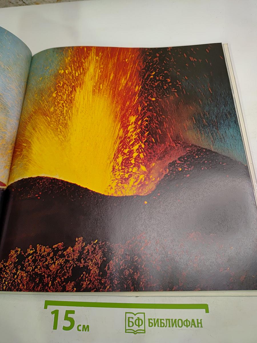 ФОТО: Снимки советских фотомастеров и фотолюбителей с Всесоюзной фотовыставки, посвященной XXV съезду КПСС