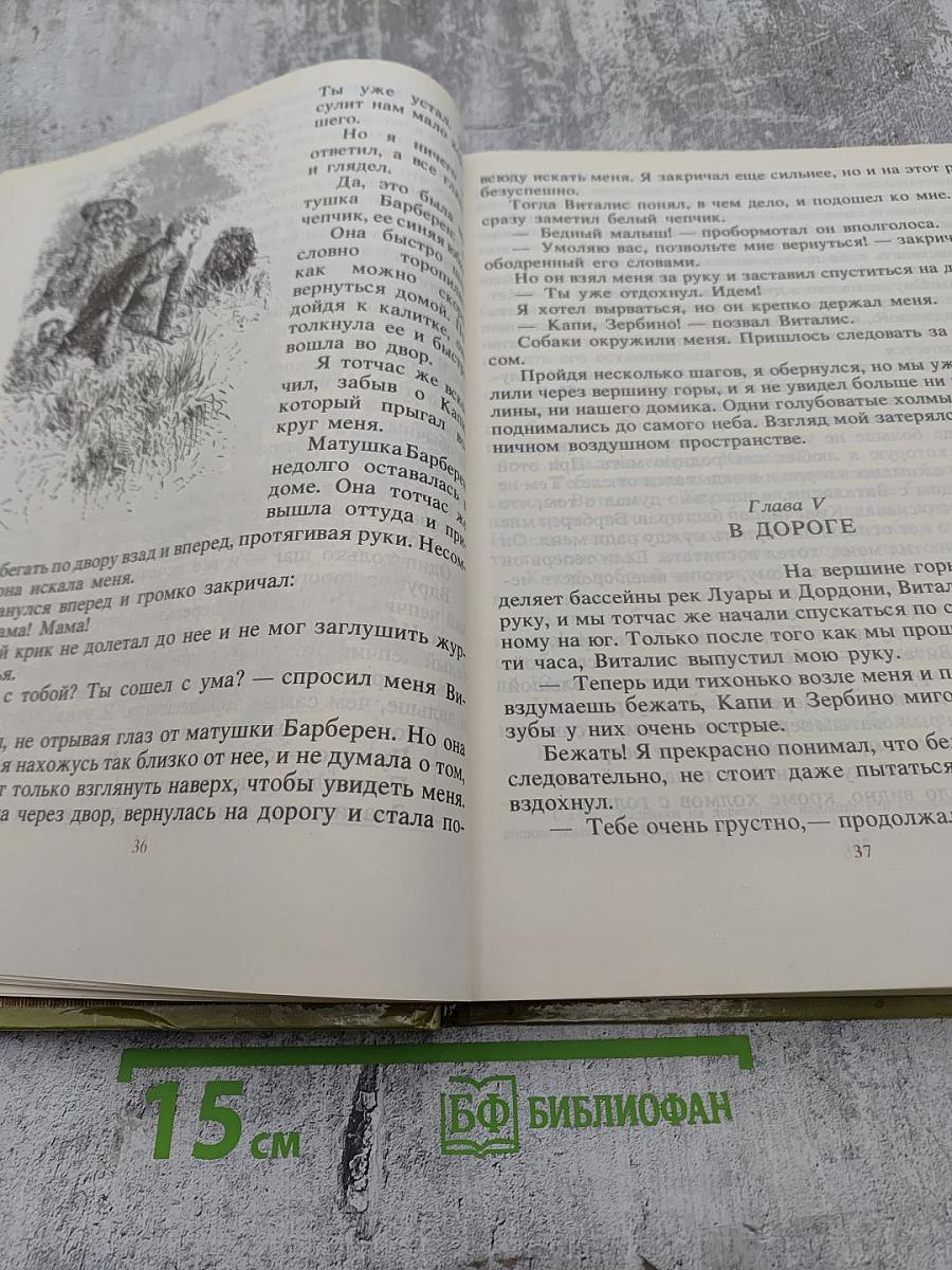 Без семьи. История маленького лорда