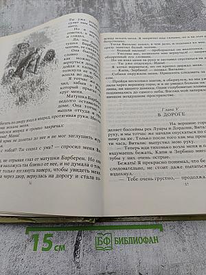Без семьи. История маленького лорда