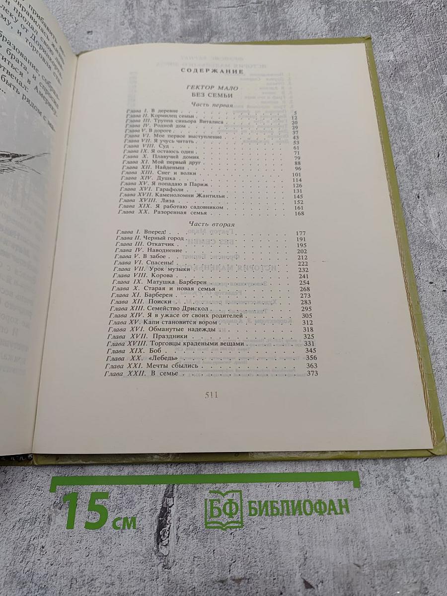 Без семьи. История маленького лорда