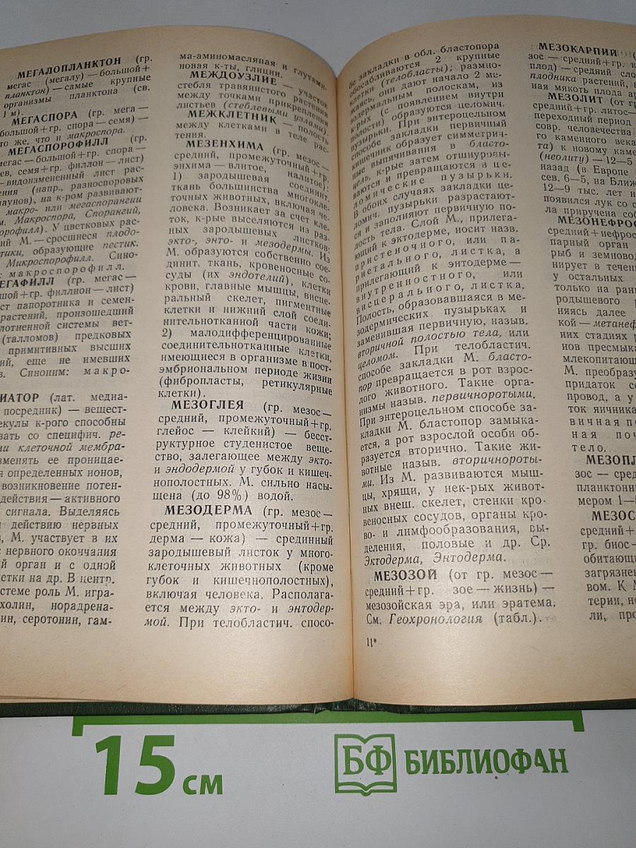Основные биологические понятия и термины