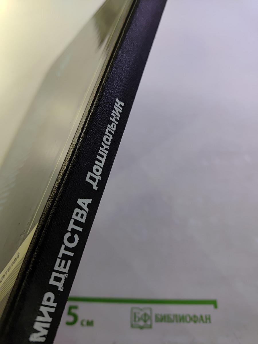 Мир детства. Дошкольник