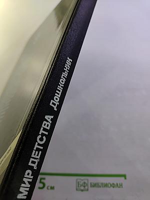 Мир детства. Дошкольник