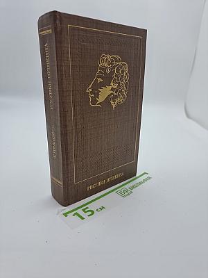 Рисунки Пушкина