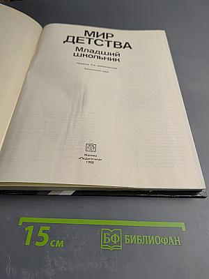 Мир детства. Младший школьник