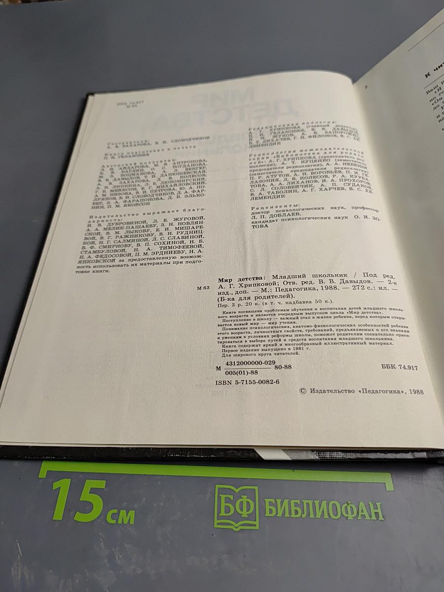 Мир детства. Младший школьник