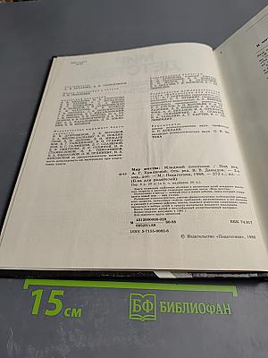 Мир детства. Младший школьник