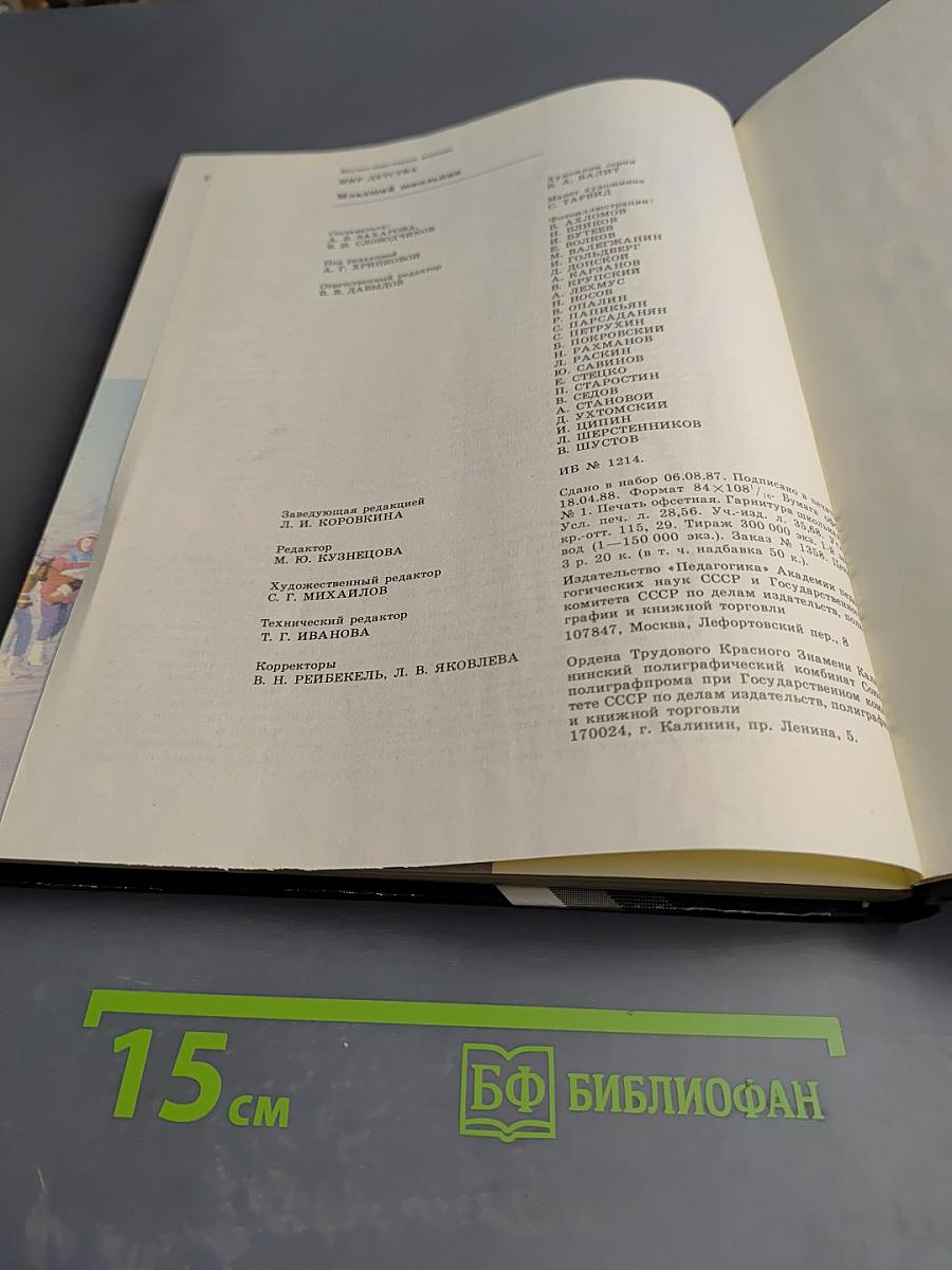 Мир детства. Младший школьник