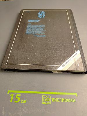 Мир детства. Младший школьник