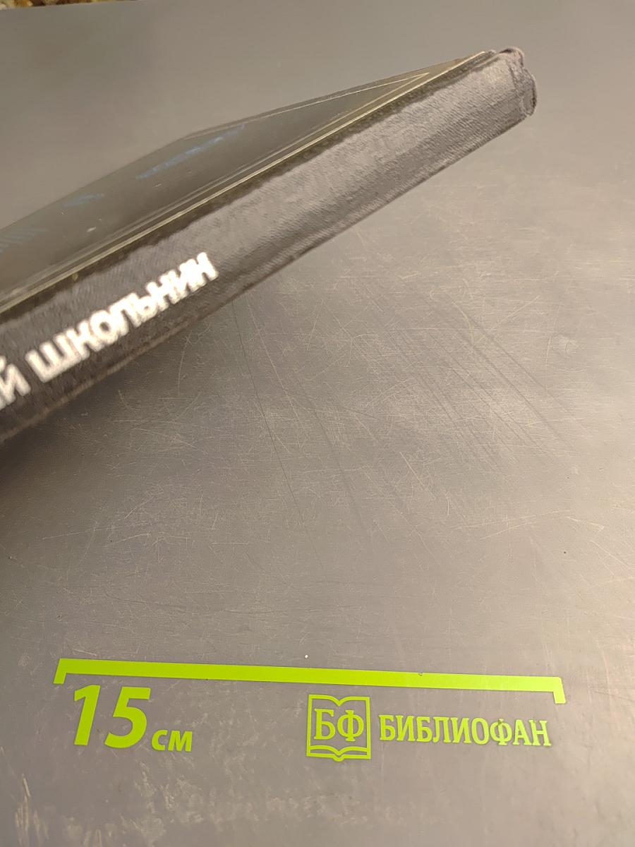 Мир детства. Младший школьник