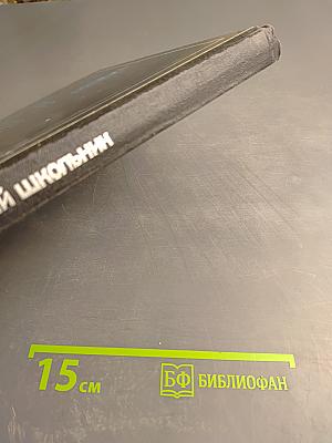 Мир детства. Младший школьник