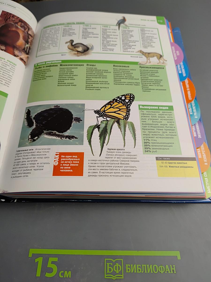 Только факты. Всегда под рукой