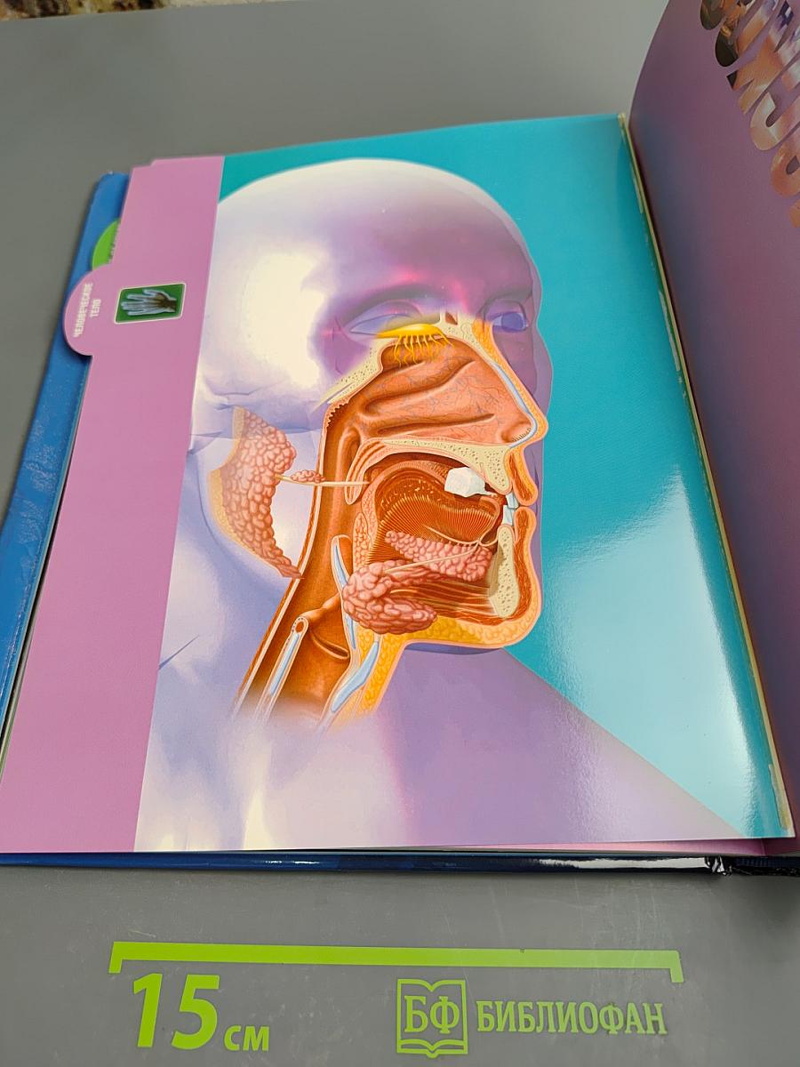 Только факты. Всегда под рукой